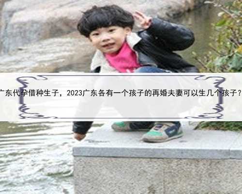 广东代孕借种生子，2023广东各有一个孩子的再婚夫妻可以生几个孩子？