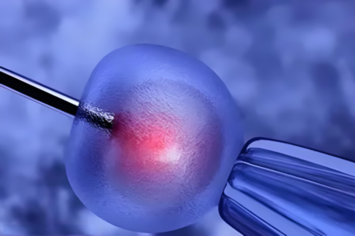 广东挑选捐卵女孩，广东计划生育假期