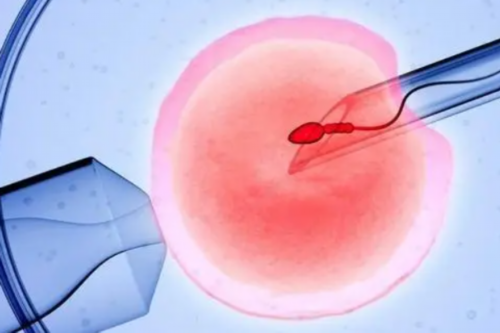 广州有哪些正规医院可以做供卵试管婴儿？