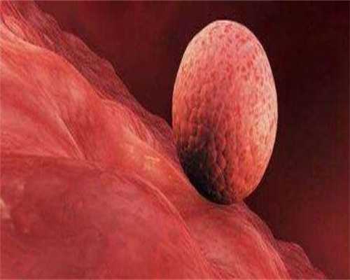 广东有做代孕的医院吗-广东中山试管代孕中心