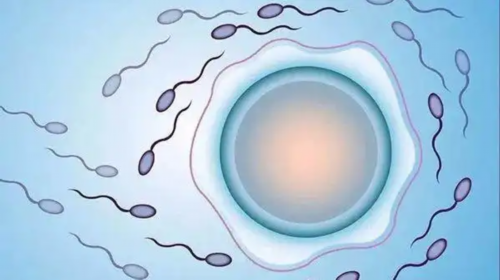 广东供卵等多久-广东供卵试管婴儿医院介绍