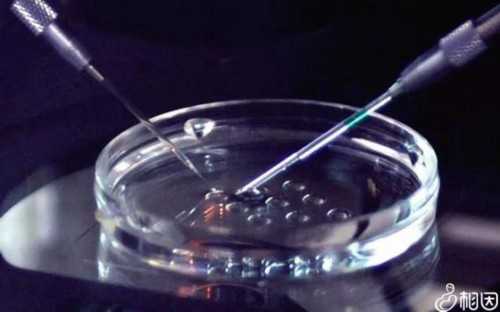 广东包供卵试管多少钱，广东东莞人民医院可以做三代试管吗