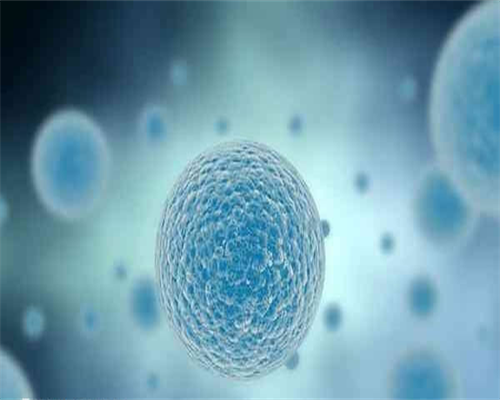 广东代生男孩电话，广东中男士备孕专家