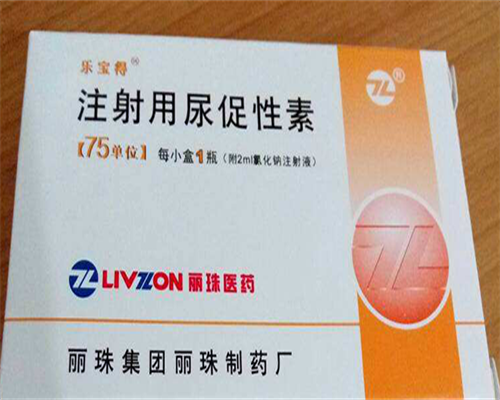 广州知名代怀孕企业，广州广三医院二代试管费用