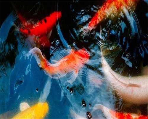 广州试管婴儿过程（受孕过程）