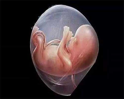 广东大学生供卵-广东哪里能做供卵试管