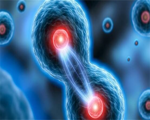 广东代生儿子官网,2026广东各有一个孩子的再婚夫妻可以生几个孩子?