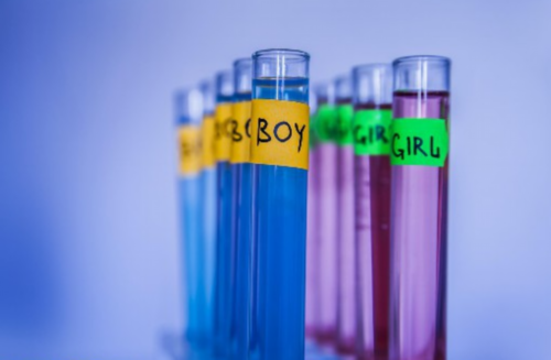 广州供卵试管正规机构排行榜（广州最靠谱的供卵公司）