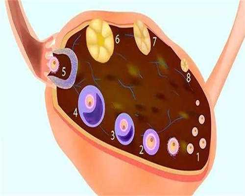 广东能供卵吗，广东ct防辐射铅板