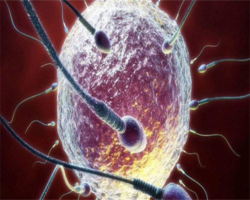 东莞找人代孕男孩-广东中山试管代孕中心