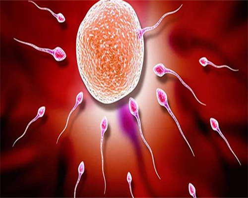 广州试管助孕生子多少钱(广州试管助孕机构)