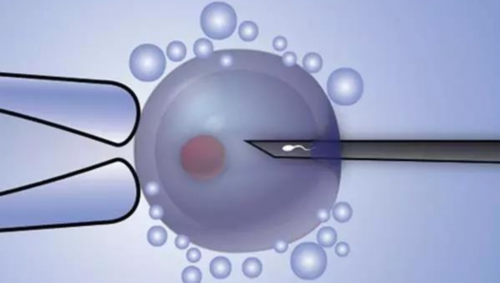 试管鲜胚移植第十二天失败有诸多表现，出血是常见症状