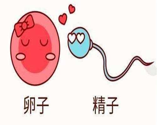北京哪家供卵试管公司靠谱，北京供卵试管婴儿成功率高