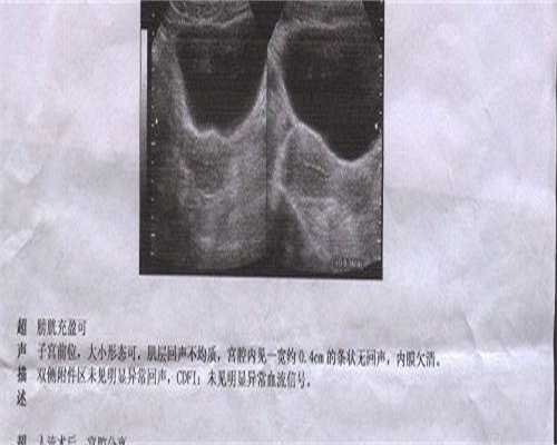广东正规代孕地址，广东南粤家政学正式建立