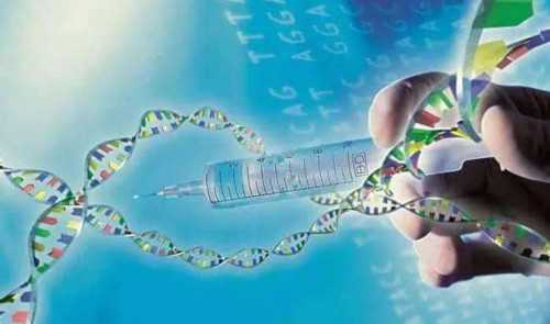 最佳代怀网-广东广州试管婴儿,广东高州有做试管婴儿的吗