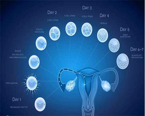 广州哪家医院试管供卵，广州哪家医院做供卵试管婴儿