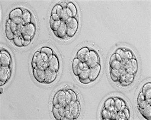 广州权威试管婴儿医院权威名单