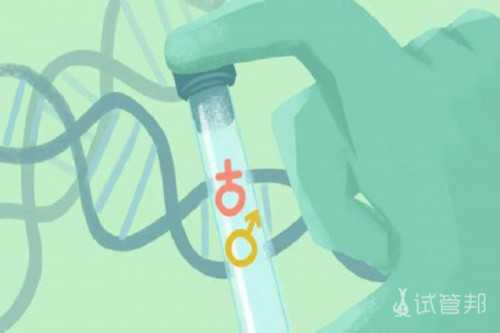 代生小男孩：广州做试管三代成功率有多少