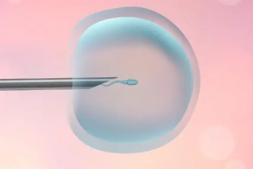 广东金贝供卵医院-广东哪里能做供卵试管