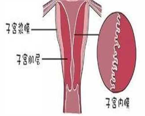 北京供卵中介怎样联系，北京公立供卵试管医院有哪些？