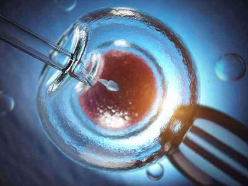 广东代孕生子中心-广东中山试管代孕中心