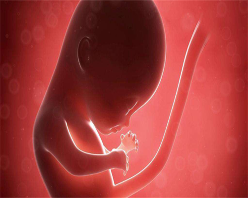 试管代怀孕-卵泡少如何调理