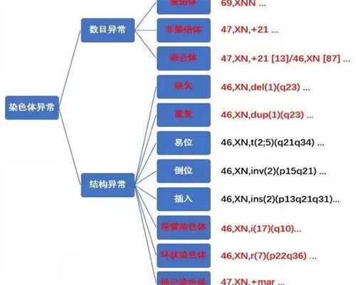 广东单身可以做代孕的吗-广东中山试管代孕中心