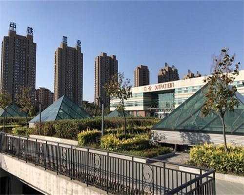 广东正规供卵平台，广东试管婴儿