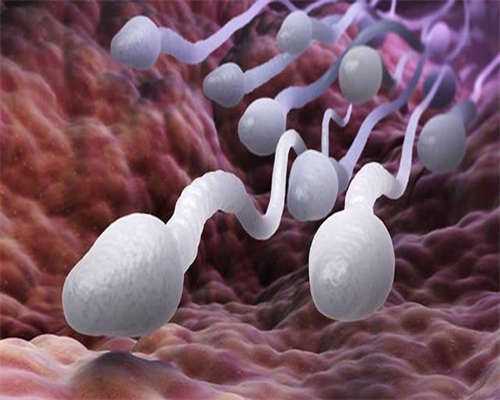 探索黄体酮针剂和胶囊的神秘之旅：哪种产品更适合你？