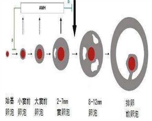 广东代孕基地，，广东省三代试管排名广东三代供卵生男孩医院排名一览[广东