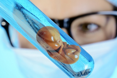 广东供卵私立机构，广东机构排名