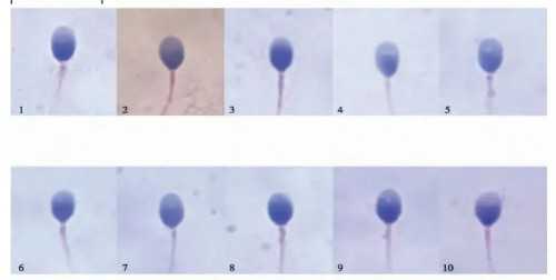 广东代生电话，当前话题!广东三院生殖中心