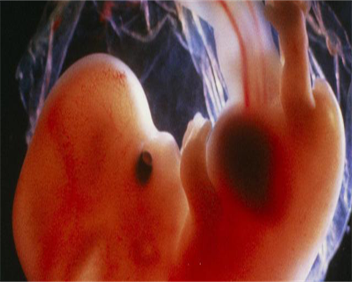 广东供卵难吗，广东哪个多囊卵巢医院口碑好|广东博济医院