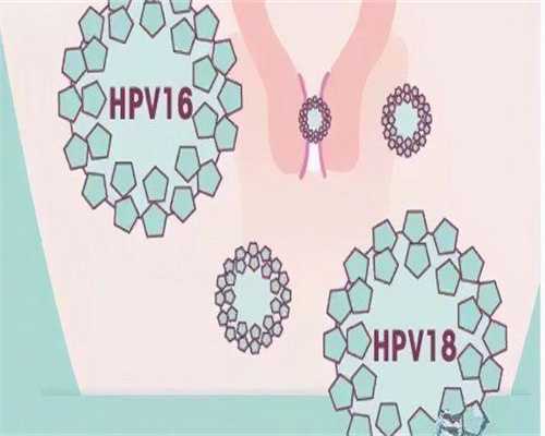 有做代孕的机构,做试管费用多少钱？试管婴儿*进行需要多少卵泡？