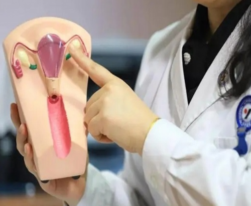 广州代生哪里便宜，广州去深圳最便宜坐法