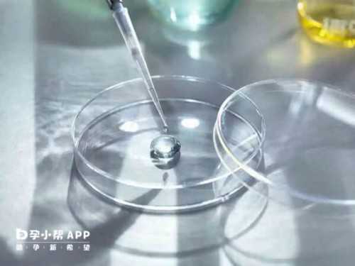 广东供卵公司机构-广东供卵正规医院地址