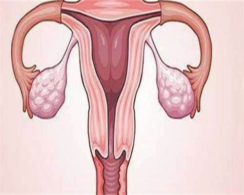 广西有供卵中心吗，广西供卵试管婴儿的基本流程