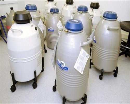 「调理卵泡质量」如何调理卵泡做试管