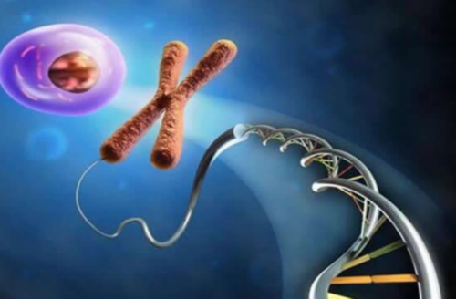 广东咋捐卵，广东供卵捐卵价格,浙江捐卵