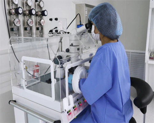 正规代孕网_试管宝宝生儿子费用多少,试管移植2个胚胎成功率多大