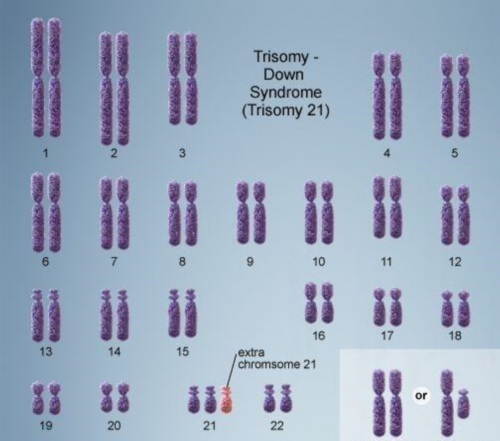 广州代生孩子是什么，广州供卵代生男孩,广州供卵三代生男孩