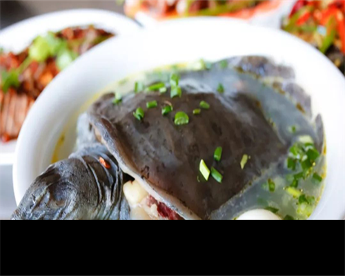 供卵代孕机构-广州试管婴儿成功率排名是怎样排的？